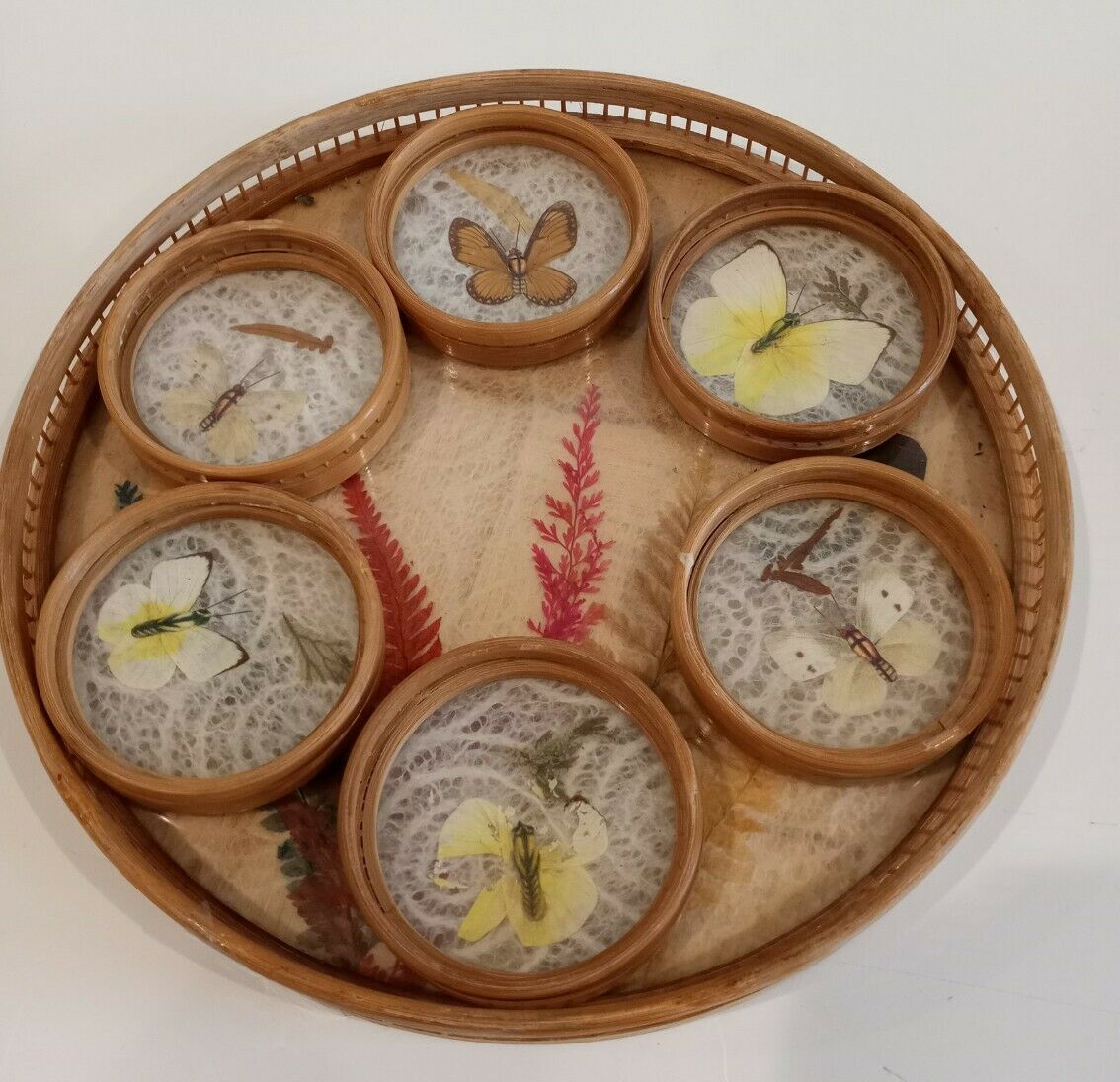 Vintage 1970’s Bamboo Round Serving Tray W 6 Dried Butterfly Coasters