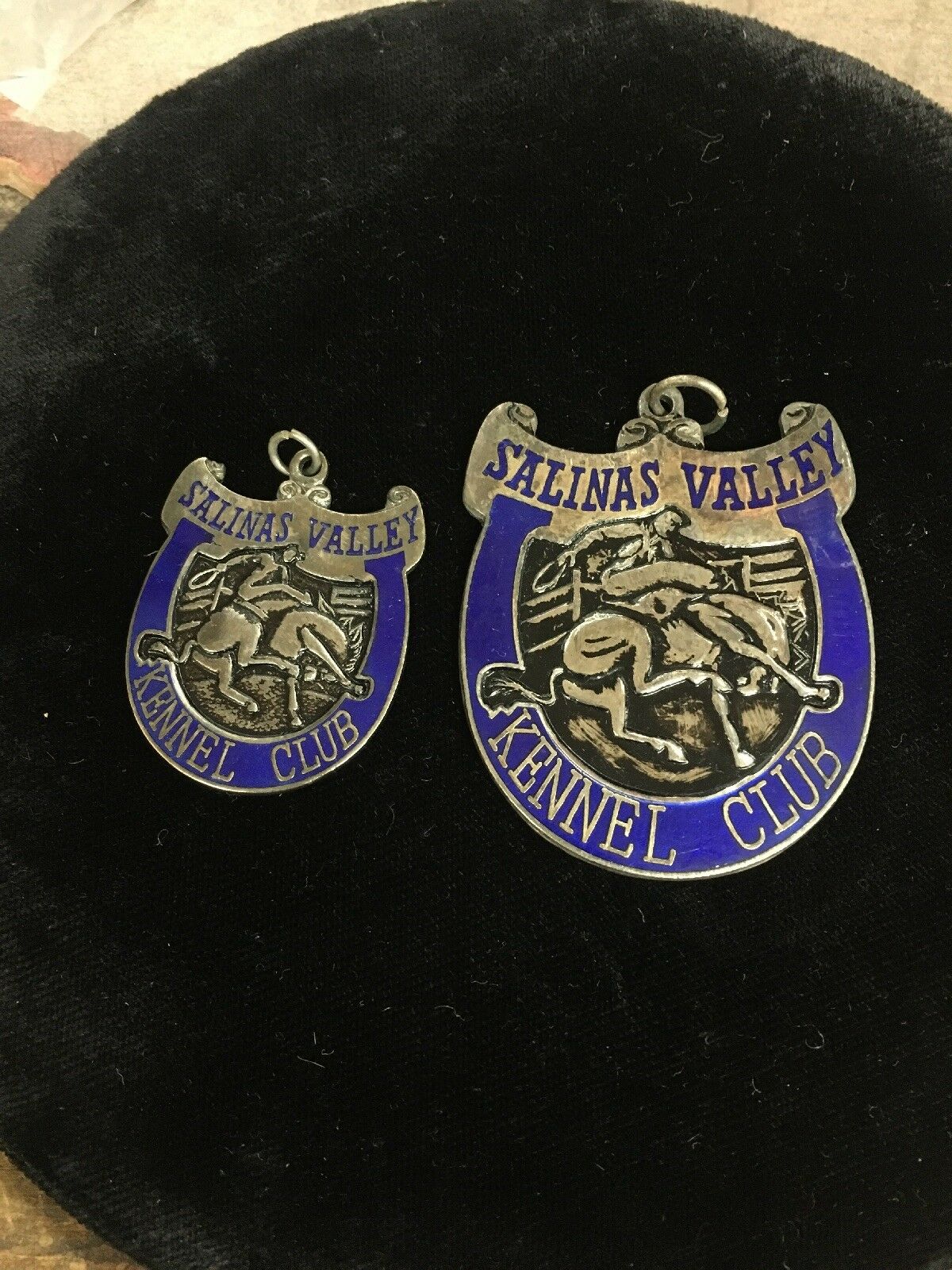 Vintage Pair Salinas Valley Kennel Club Enameled Dog Show Medals
