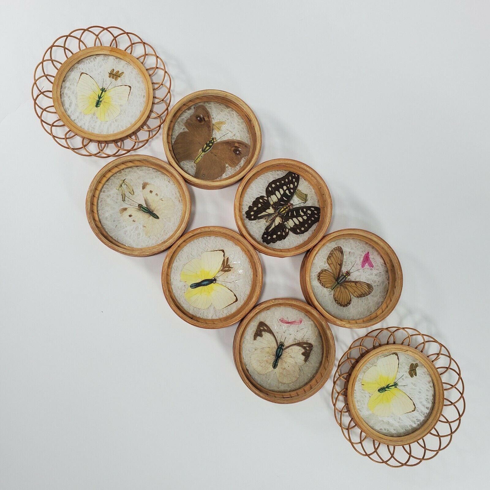 Vintage Pressed Butterfly Wicker Bamboo And Plastic Coasters Set Of 6 + 2