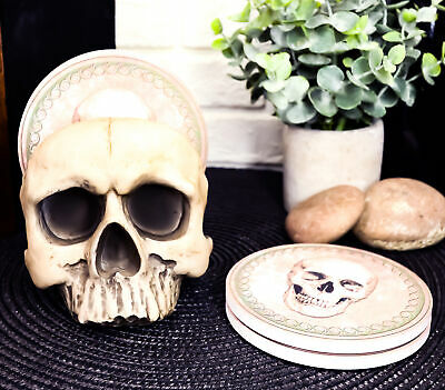 Gothic Bone Cream Jointed Homosapien Half Skull Base Holder With 4 Coasters Set