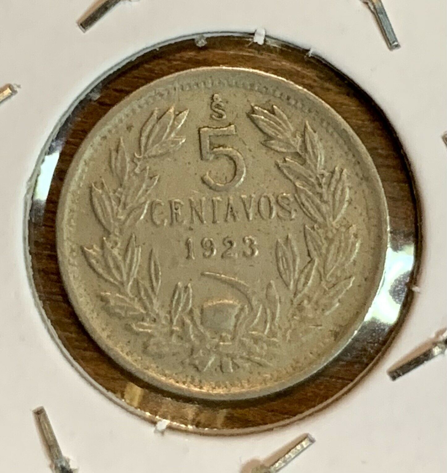 Chile 5 Centavos 1923 Condor Bird Coin Free Shipping!